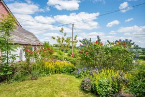 Garden- click for photo gallery
